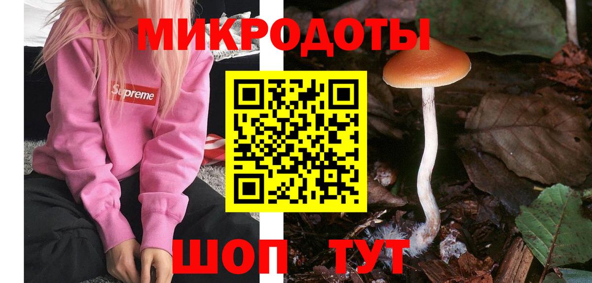 Галлюциногенные грибы Psilocybine cubensis Кемерово